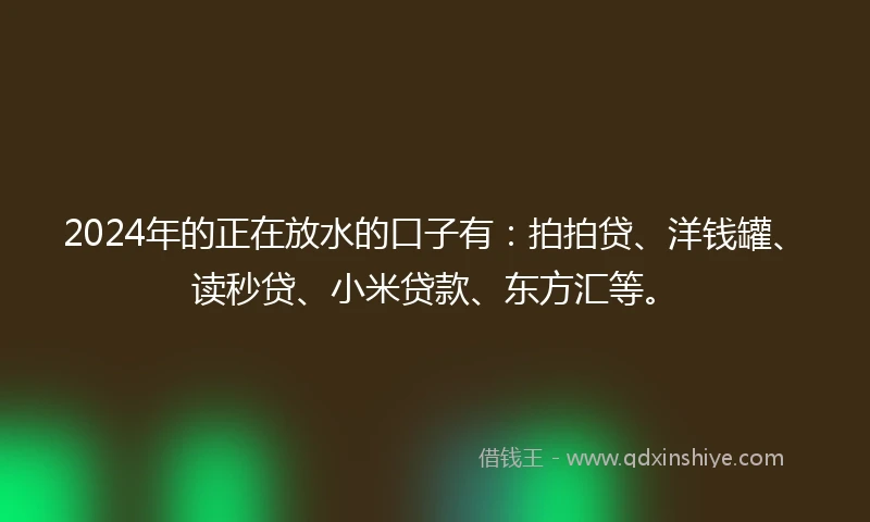 2024年的正在放水的口子有：拍拍贷、洋钱罐、读秒贷、小米贷款、东方汇等。