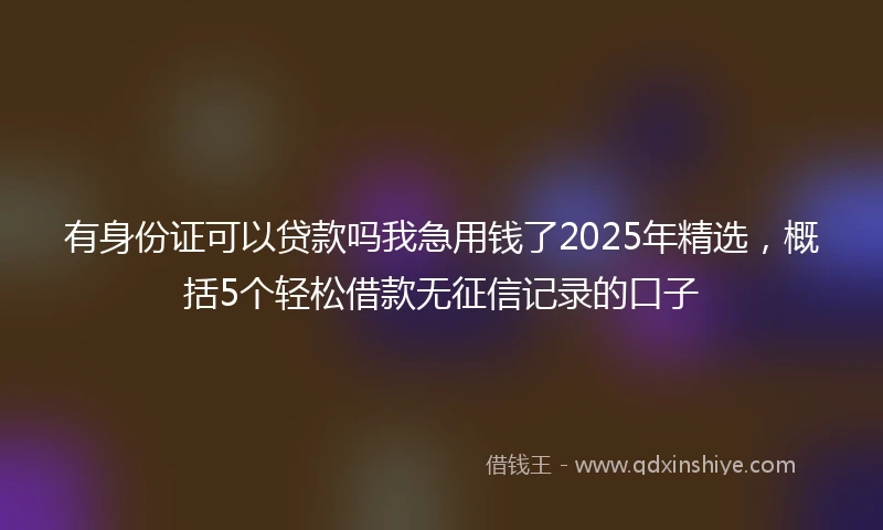 有身份证可以贷款吗我急用钱了2025年精选，概括5个轻松借款无征信记录的口子