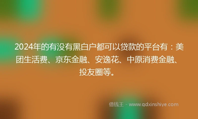 2024年的有没有黑白户都可以贷款的平台有：美团生活费、京东金融、安逸花、中原消费金融、投友圈等。