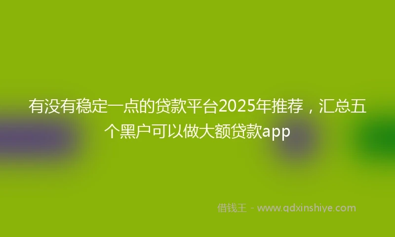 有没有稳定一点的贷款平台2025年推荐，汇总五个黑户可以做大额贷款app