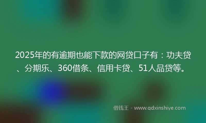 2025年的有逾期也能下款的网贷口子有：功夫贷、分期乐、360借条、信用卡贷、51人品贷等。