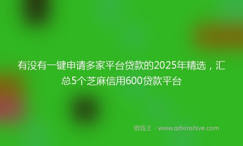 有没有一键申请多家平台贷款的2025年精选，汇总5个芝麻信用600贷款平台