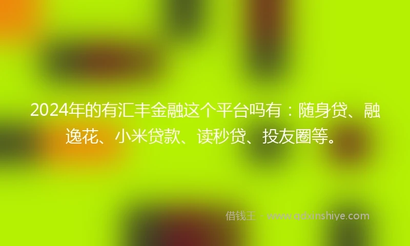 2024年的有汇丰金融这个平台吗有：随身贷、融逸花、小米贷款、读秒贷、投友圈等。