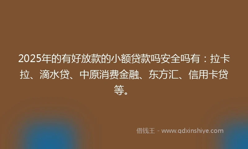 2025年的有好放款的小额贷款吗安全吗有：拉卡拉、滴水贷、中原消费金融、东方汇、信用卡贷等。