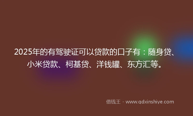2025年的有驾驶证可以贷款的口子有：随身贷、小米贷款、柯基贷、洋钱罐、东方汇等。