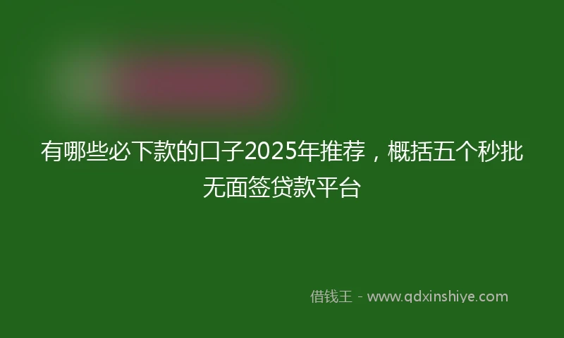 有哪些必下款的口子2025年推荐，概括五个秒批无面签贷款平台