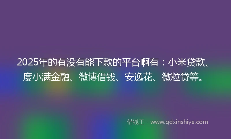 2025年的有没有能下款的平台啊有：小米贷款、度小满金融、微博借钱、安逸花、微粒贷等。
