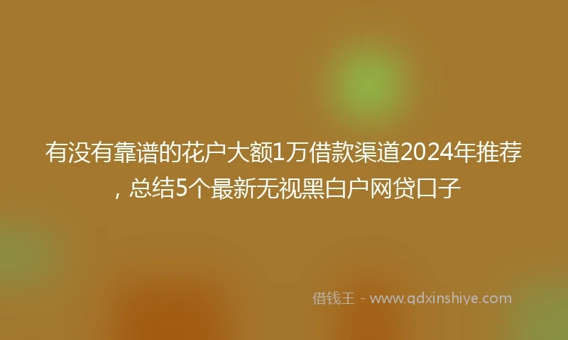 有没有靠谱的花户大额1万借款渠道2024年推荐，总结5个最新无视黑白户网贷口子