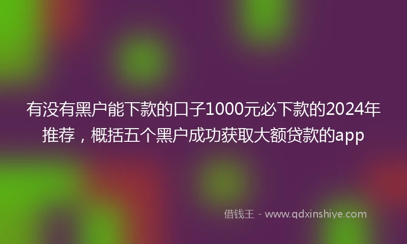 有没有黑户能下款的口子1000元必下款的2024年推荐，概括五个黑户成功获取大额贷款的app