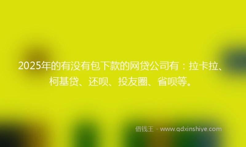 2025年的有没有包下款的网贷公司有：拉卡拉、柯基贷、还呗、投友圈、省呗等。