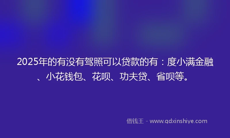 2025年的有没有驾照可以贷款的有：度小满金融、小花钱包、花呗、功夫贷、省呗等。