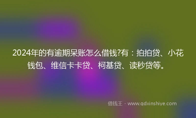 2024年的有逾期呆账怎么借钱?有：拍拍贷、小花钱包、维信卡卡贷、柯基贷、读秒贷等。
