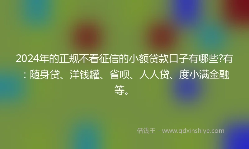 2024年的正规不看征信的小额贷款口子有哪些?有：随身贷、洋钱罐、省呗、人人贷、度小满金融等。
