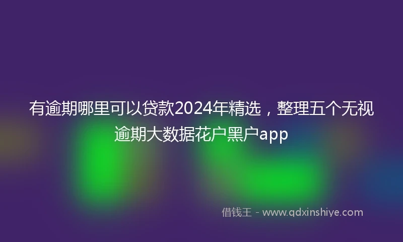 有逾期哪里可以贷款2024年精选，整理五个无视逾期大数据花户黑户app