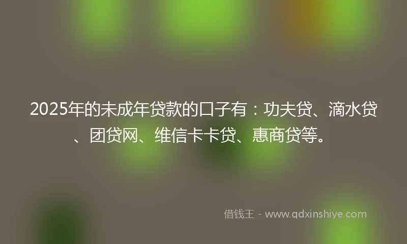 2025年的未成年贷款的口子有：功夫贷、滴水贷、团贷网、维信卡卡贷、惠商贷等。