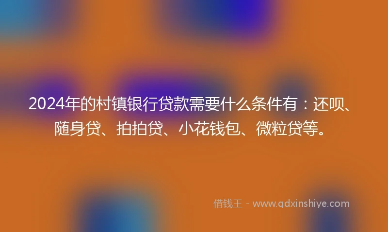 2024年的村镇银行贷款需要什么条件有：还呗、随身贷、拍拍贷、小花钱包、微粒贷等。