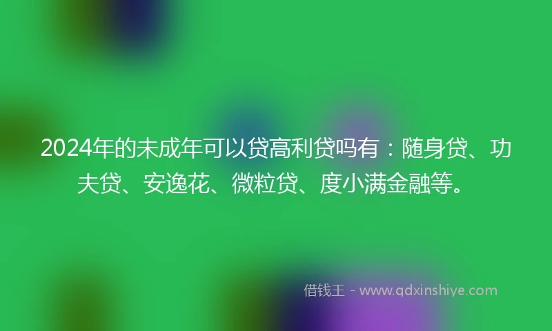 2024年的未成年可以贷高利贷吗有：随身贷、功夫贷、安逸花、微粒贷、度小满金融等。