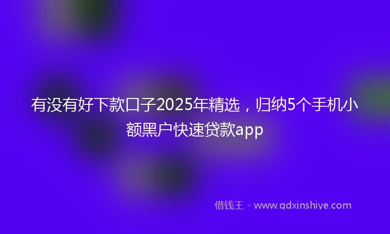 有没有好下款口子2025年精选，归纳5个手机小额黑户快速贷款app