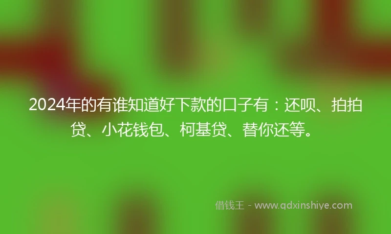 2024年的有谁知道好下款的口子有：还呗、拍拍贷、小花钱包、柯基贷、替你还等。