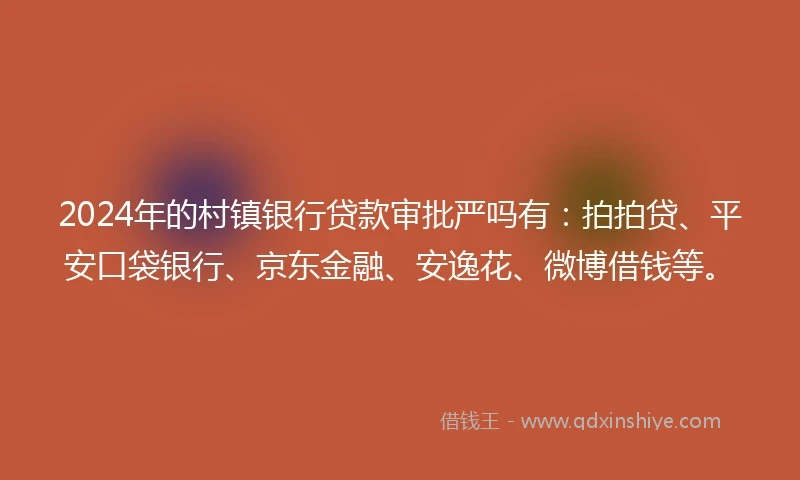 2024年的村镇银行贷款审批严吗有：拍拍贷、平安口袋银行、京东金融、安逸花、微博借钱等。