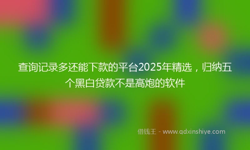 查询记录多还能下款的平台2025年精选，归纳五个黑白贷款不是高炮的软件