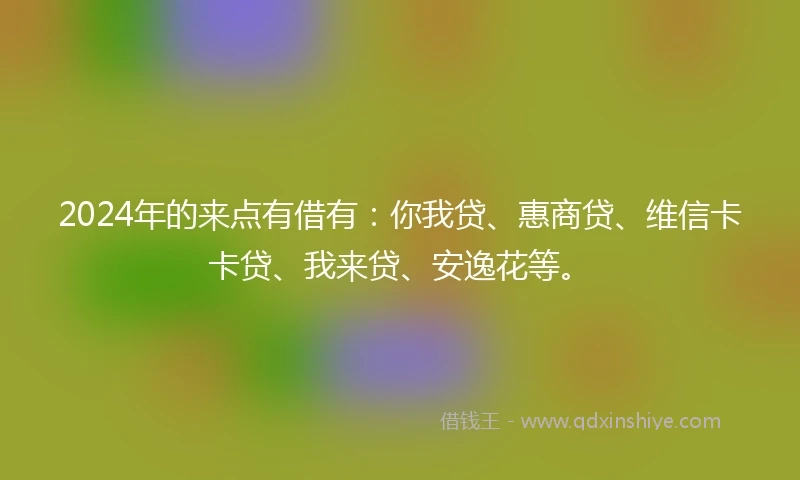2024年的来点有借有：你我贷、惠商贷、维信卡卡贷、我来贷、安逸花等。