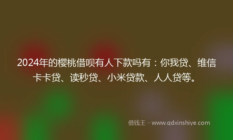 2024年的樱桃借呗有人下款吗有：你我贷、维信卡卡贷、读秒贷、小米贷款、人人贷等。