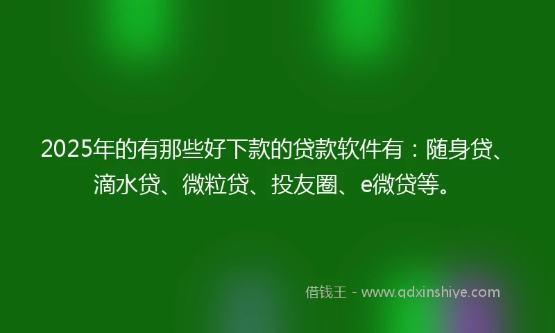 2025年的有那些好下款的贷款软件有：随身贷、滴水贷、微粒贷、投友圈、e微贷等。