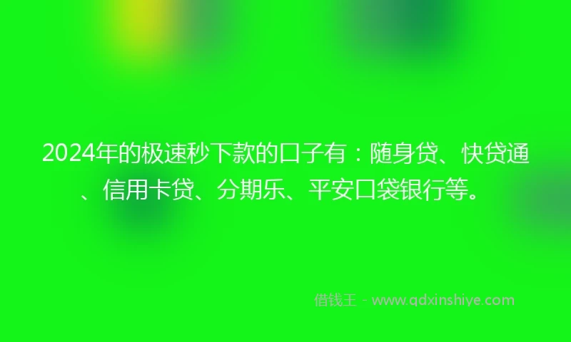 2024年的极速秒下款的口子有：随身贷、快贷通、信用卡贷、分期乐、平安口袋银行等。