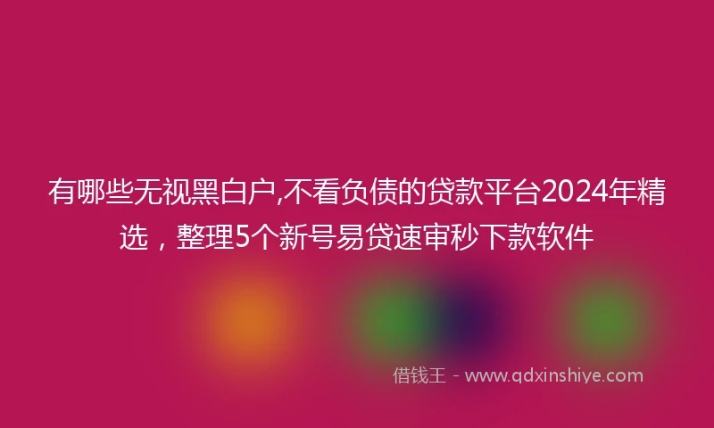 有哪些无视黑白户,不看负债的贷款平台2024年精选，整理5个新号易贷速审秒下款软件