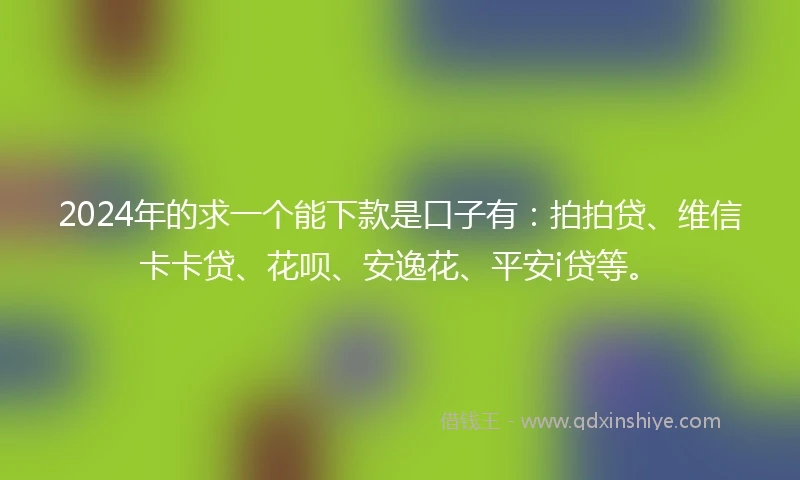 2024年的求一个能下款是口子有：拍拍贷、维信卡卡贷、花呗、安逸花、平安i贷等。