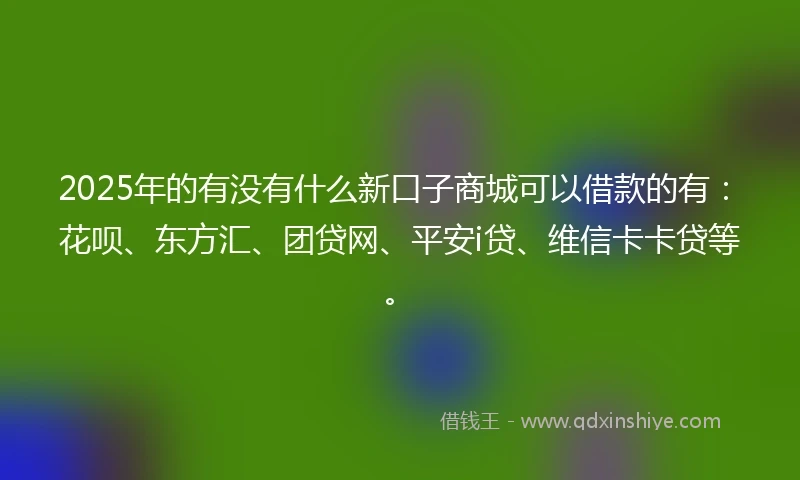 2025年的有没有什么新口子商城可以借款的有：花呗、东方汇、团贷网、平安i贷、维信卡卡贷等。