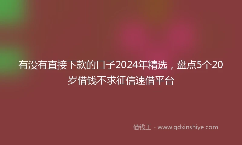 有没有直接下款的口子2024年精选，盘点5个20岁借钱不求征信速借平台