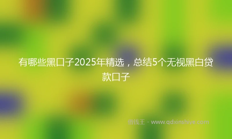 有哪些黑口子2025年精选，总结5个无视黑白贷款口子