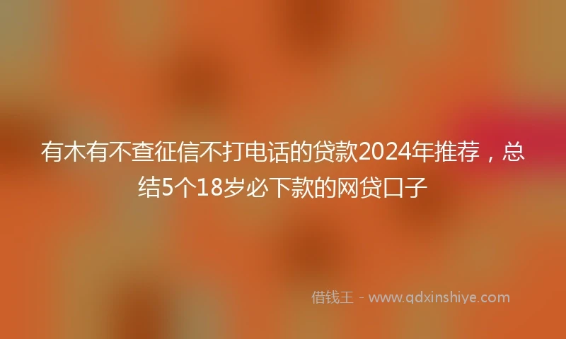 有木有不查征信不打电话的贷款2024年推荐，总结5个18岁必下款的网贷口子