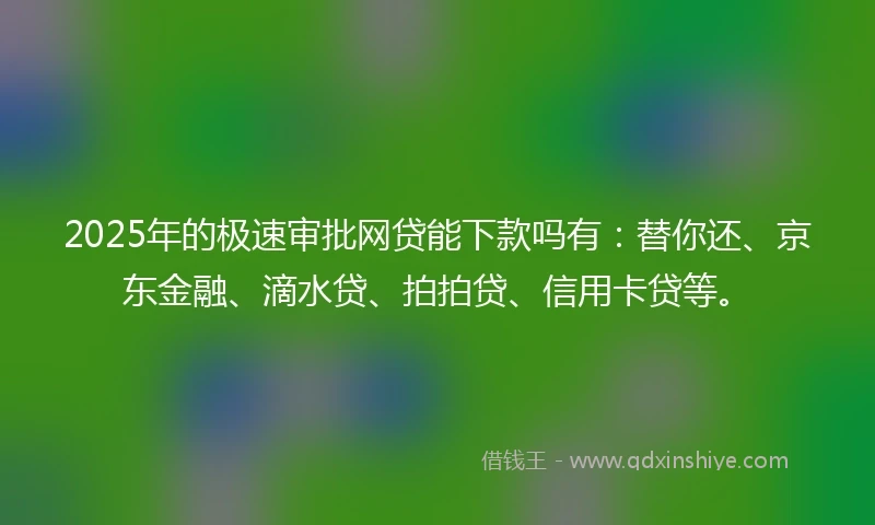 2025年的极速审批网贷能下款吗有：替你还、京东金融、滴水贷、拍拍贷、信用卡贷等。