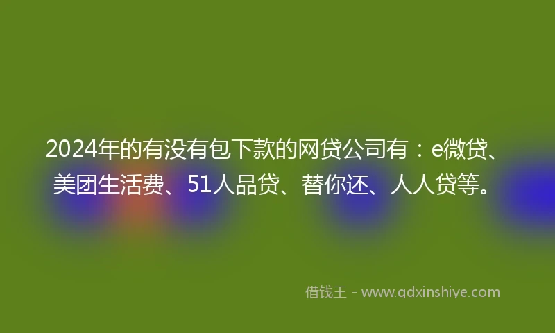 2024年的有没有包下款的网贷公司有：e微贷、美团生活费、51人品贷、替你还、人人贷等。