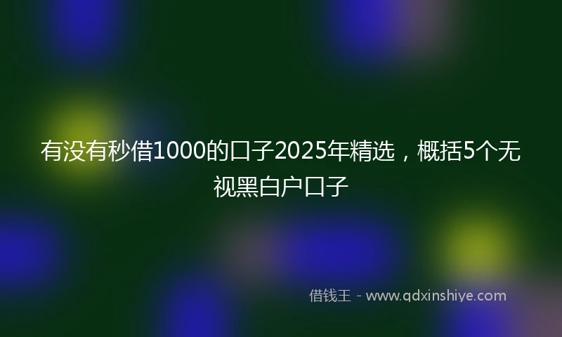 有没有秒借1000的口子2025年精选，概括5个无视黑白户口子