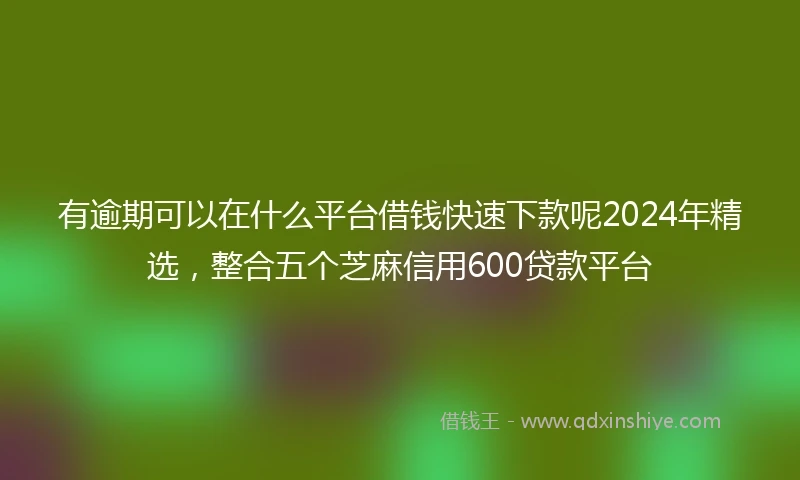 有逾期可以在什么平台借钱快速下款呢2024年精选，整合五个芝麻信用600贷款平台