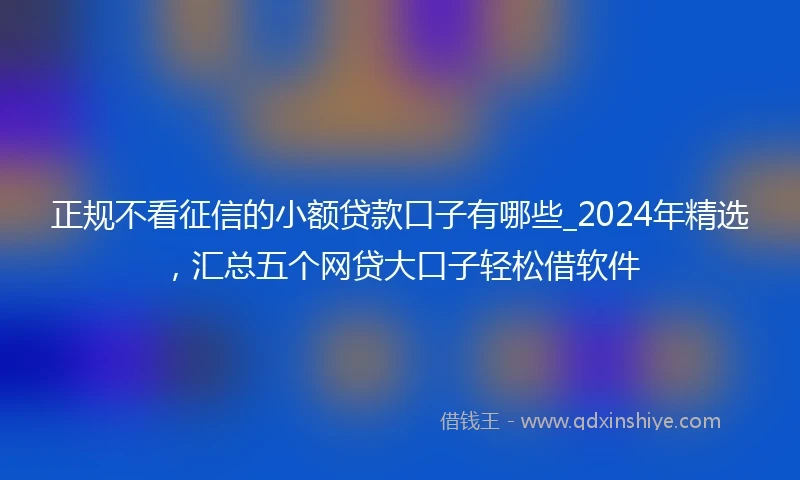 正规不看征信的小额贷款口子有哪些_2024年精选，汇总五个网贷大口子轻松借软件