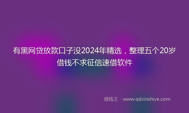 有黑网贷放款口子没2024年精选，整理五个20岁借钱不求征信速借软件