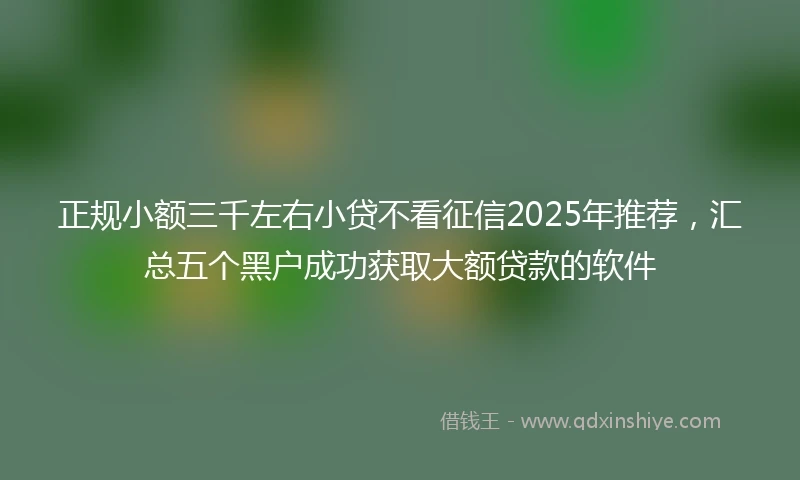 正规小额三千左右小贷不看征信2025年推荐，汇总五个黑户成功获取大额贷款的软件