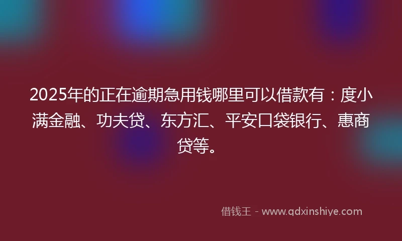 2025年的正在逾期急用钱哪里可以借款有：度小满金融、功夫贷、东方汇、平安口袋银行、惠商贷等。