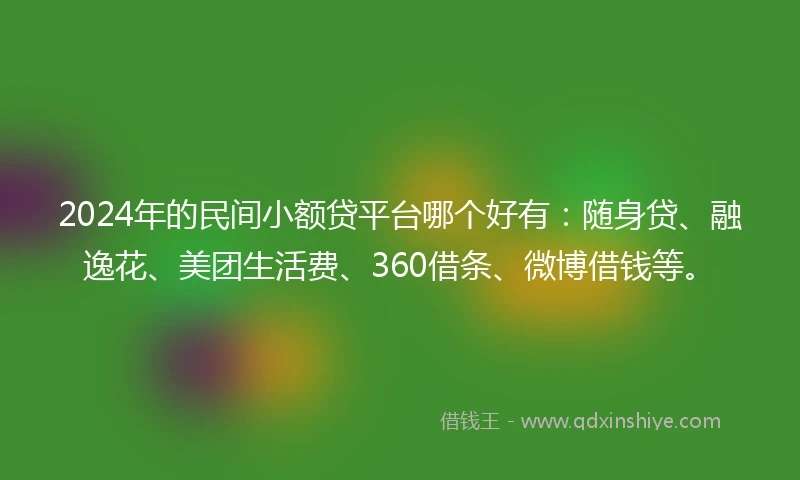 2024年的民间小额贷平台哪个好有：随身贷、融逸花、美团生活费、360借条、微博借钱等。