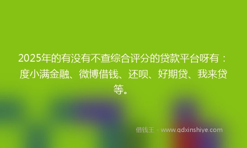 2025年的有没有不查综合评分的贷款平台呀有：度小满金融、微博借钱、还呗、好期贷、我来贷等。