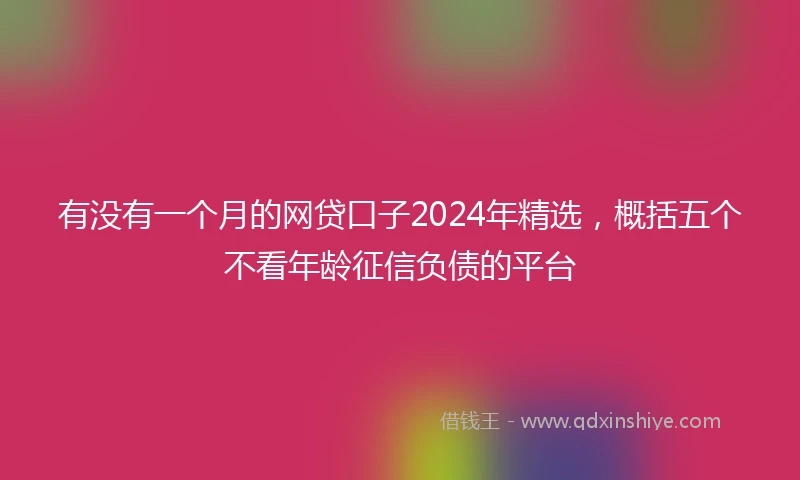 有没有一个月的网贷口子2024年精选，概括五个不看年龄征信负债的平台