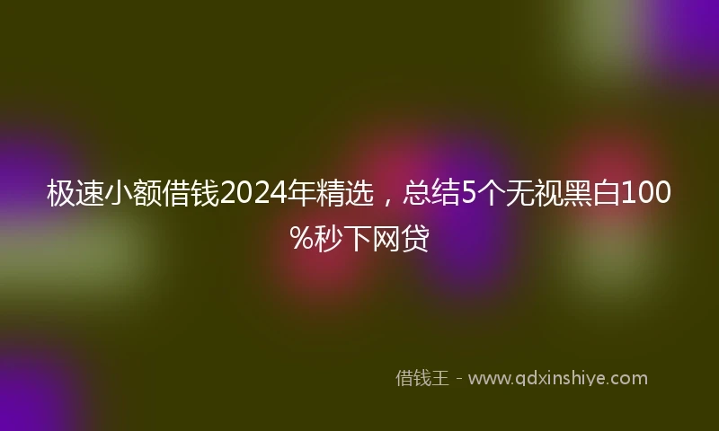 极速小额借钱2024年精选，总结5个无视黑白100%秒下网贷