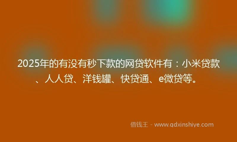 2025年的有没有秒下款的网贷软件有：小米贷款、人人贷、洋钱罐、快贷通、e微贷等。
