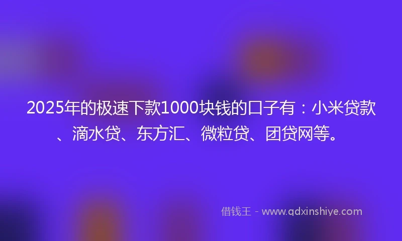 2025年的极速下款1000块钱的口子有：小米贷款、滴水贷、东方汇、微粒贷、团贷网等。
