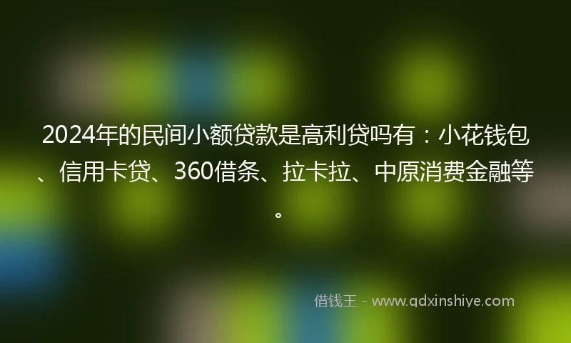 2024年的民间小额贷款是高利贷吗有：小花钱包、信用卡贷、360借条、拉卡拉、中原消费金融等。